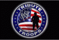 Reveja o Tribute To The Troops 18/12/2010